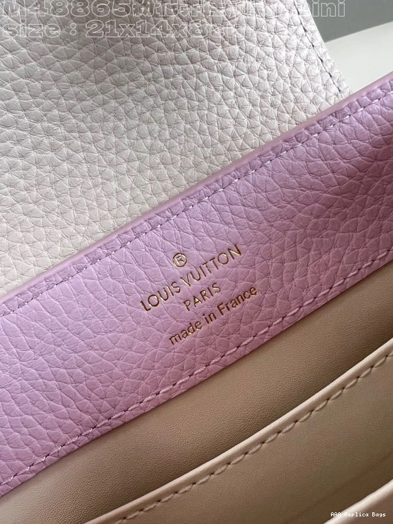 Aaa replica bags MINI-21*14*8CM LOUIS VUITTON CAPUCINES 0811